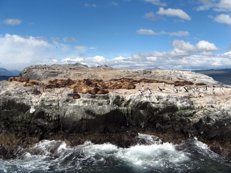 Tierra del Fuego