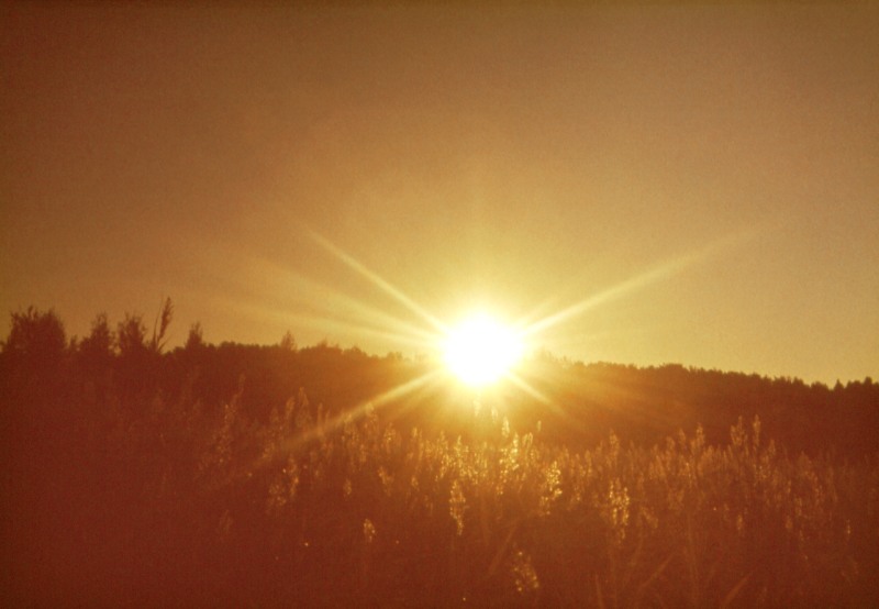Magic of morning
