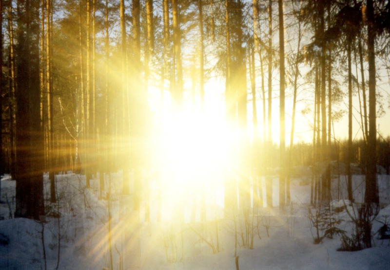 Magic of morning