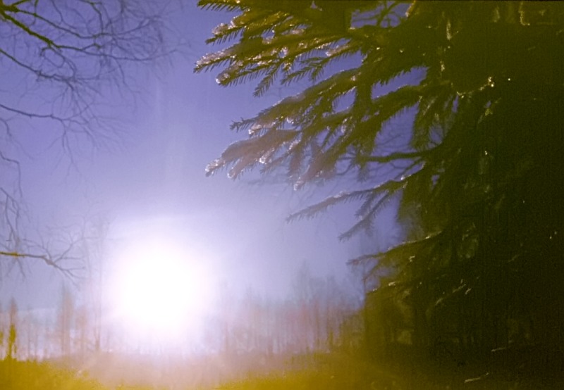 Magic of morning