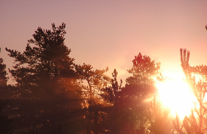 Magic of morning