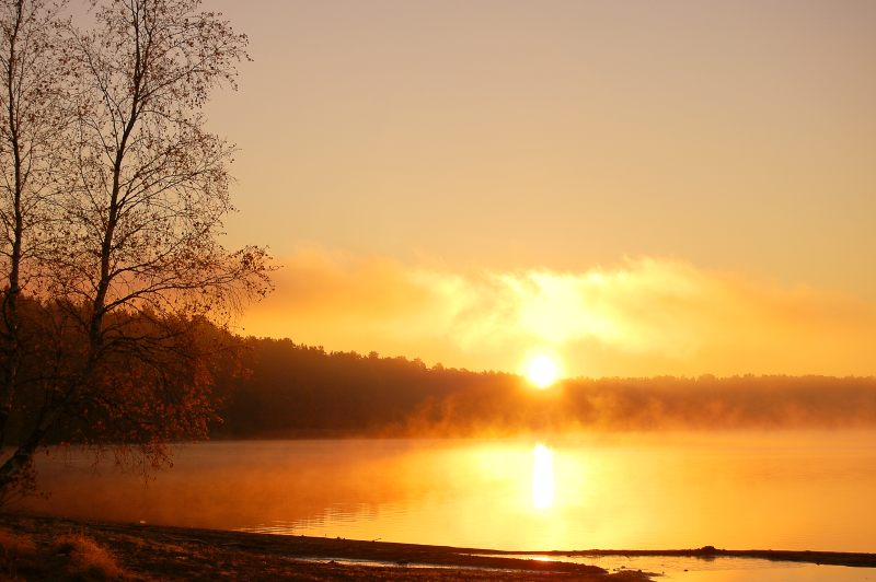 Magic of morning