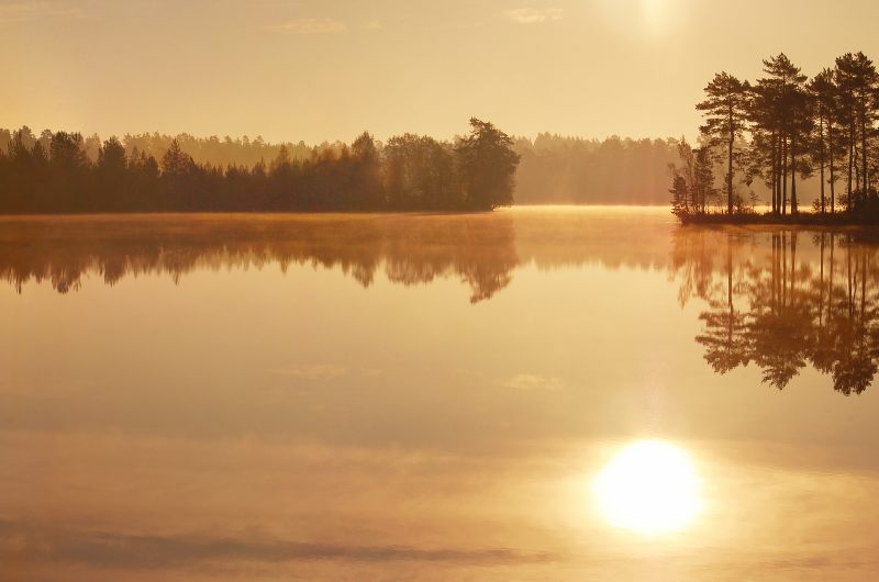 Magic of morning