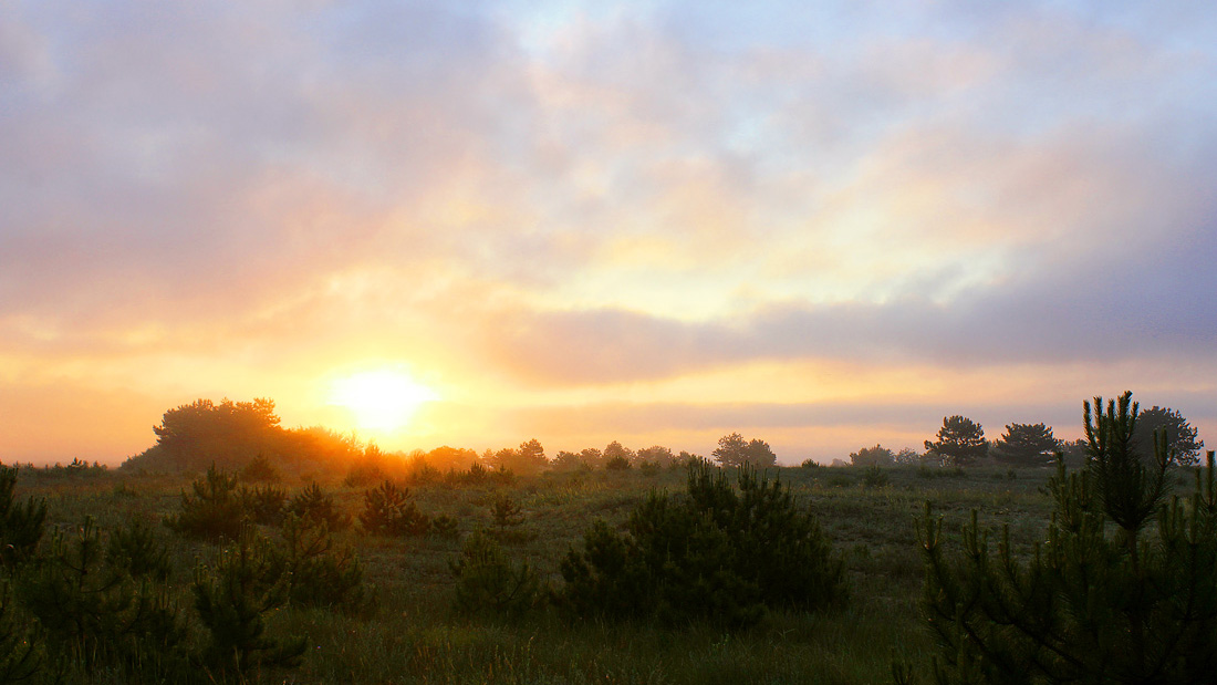 Magic of morning