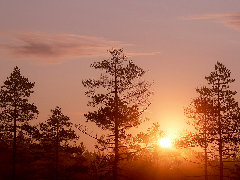 Magic of morning