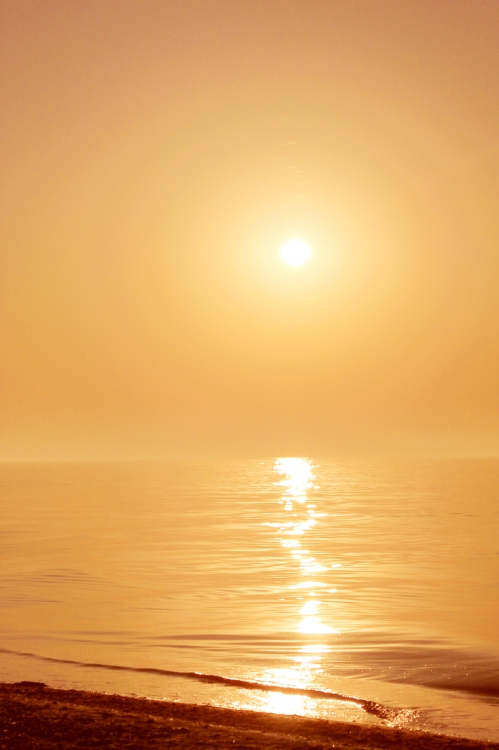 Magic of morning