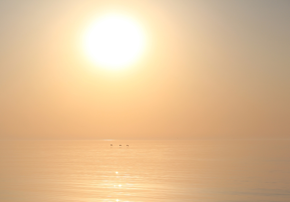 Magic of morning
