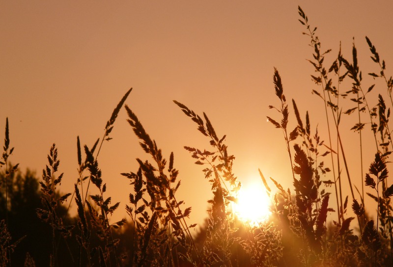 Magic of morning