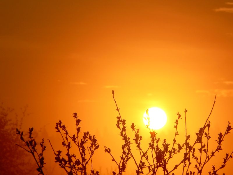 Magic of morning