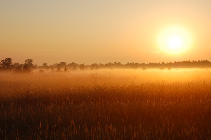 Magic of morning