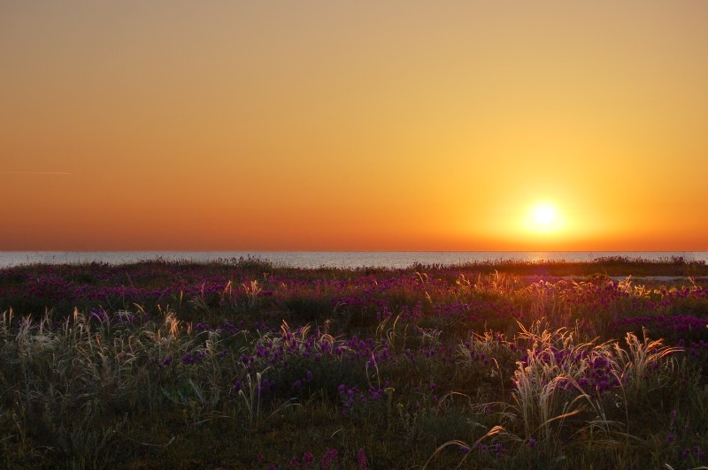 Sunrise Over the Sea