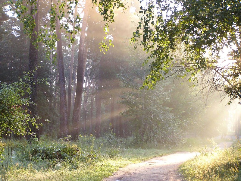Magic of morning