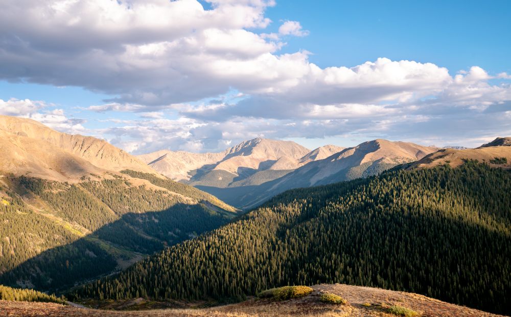 View from Independence Pass