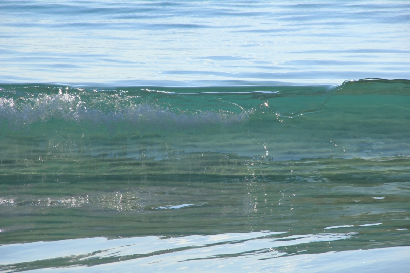 Waves