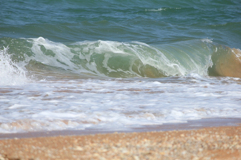 Waves