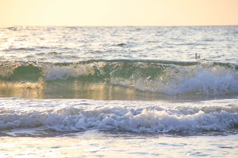 Waves