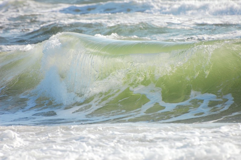 Waves