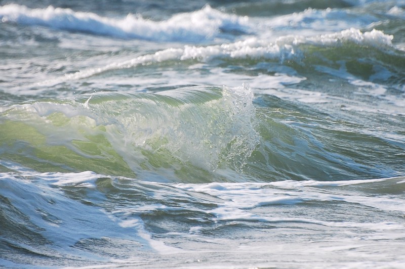 Waves