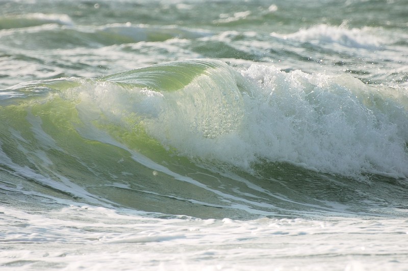 Waves