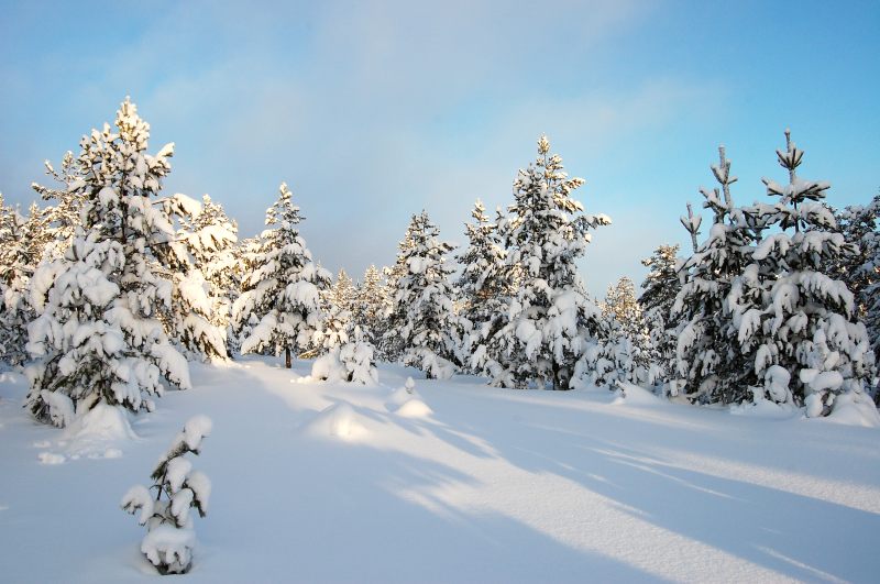 Winter
