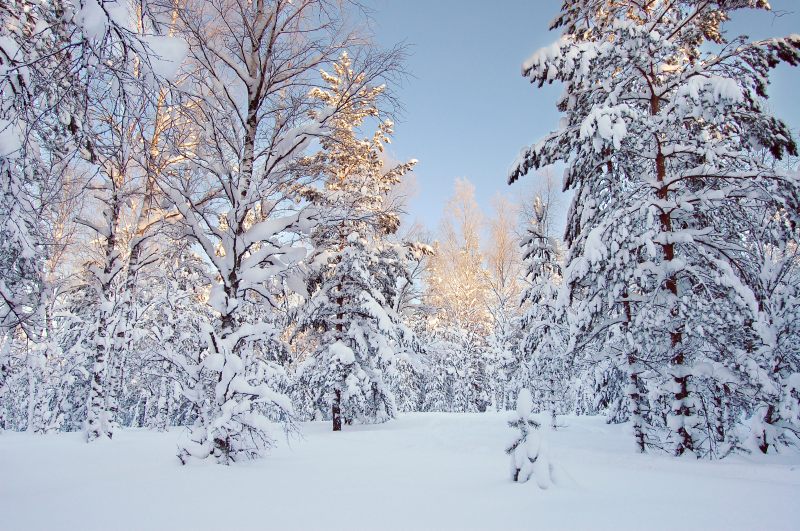 Winter