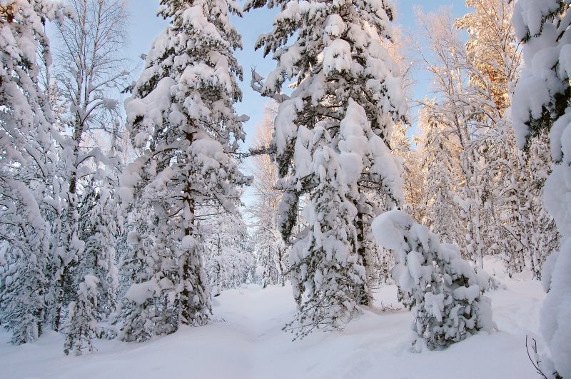 Winter