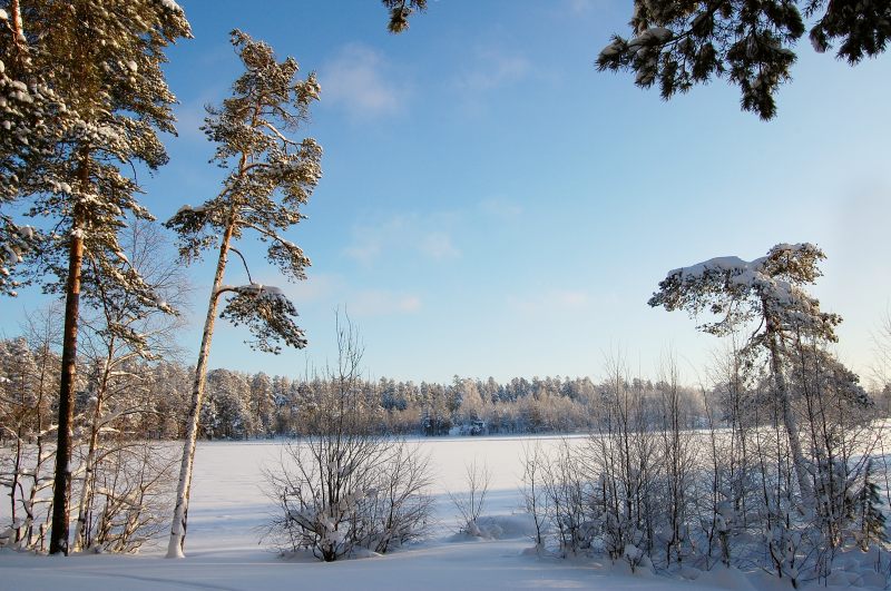 Winter