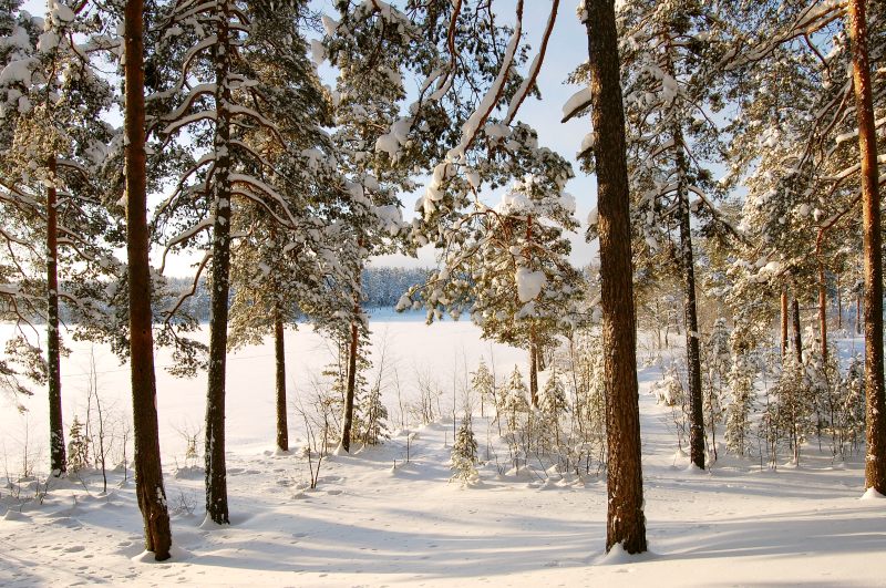 Winter