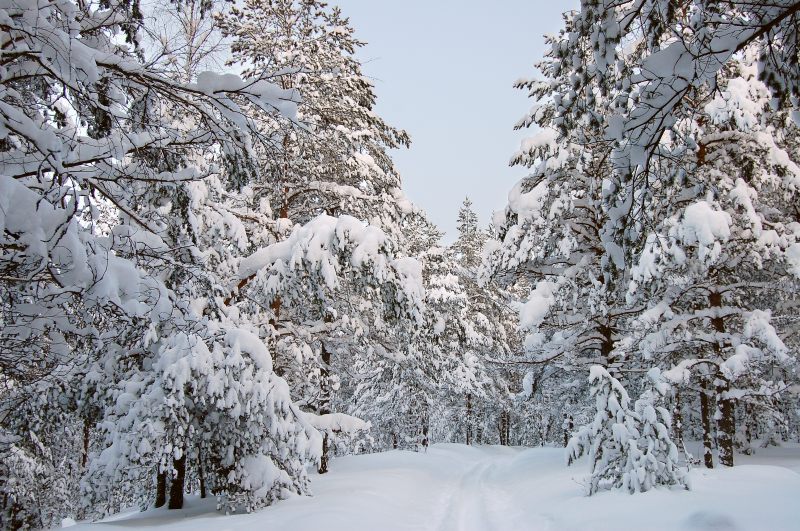 Winter