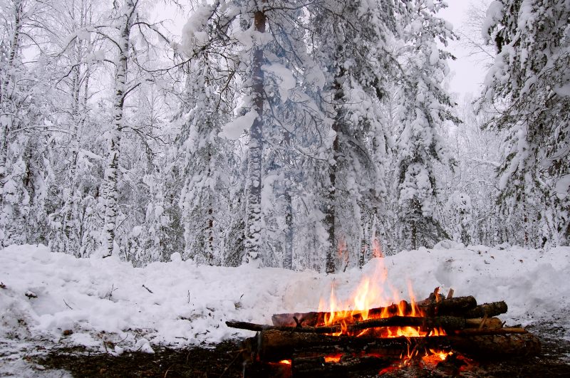 Winter