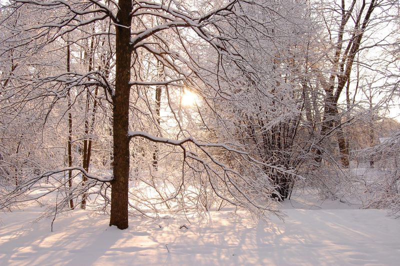 Winter