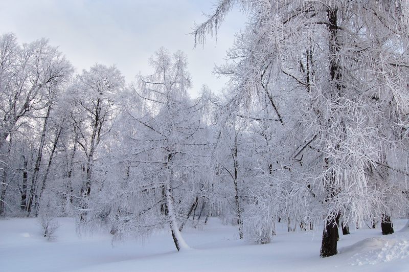 Winter