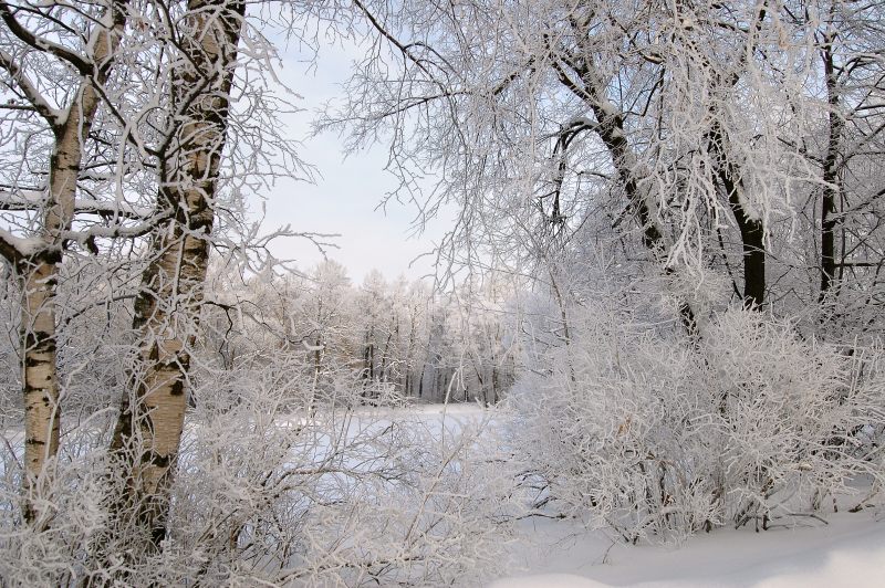 Winter