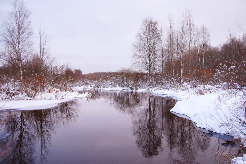 Winter