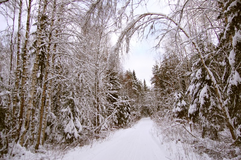 Winter