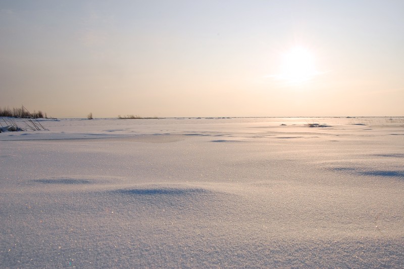 Winter