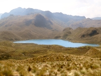 Andes