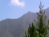 Andes