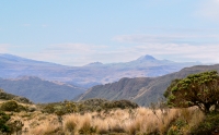 Andes
