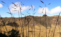Andes