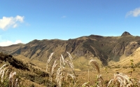 Andes