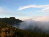 Andes