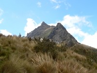 Andes