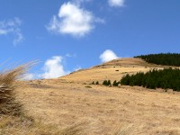 Andes