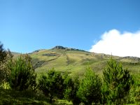 Andes