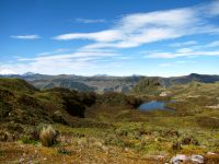 Andes