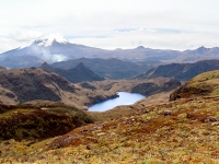 Andes