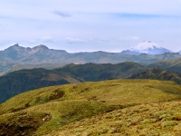 Andes