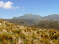 Andes