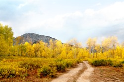 Autumn in Colorado